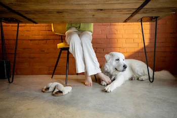 Comment fonctionne un plancher chauffant?